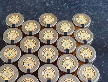 Granleja Raw Honey Produced in Southport England UK