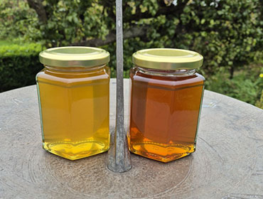 Granleja Raw Honey Produced in Southport England UK